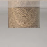 Потолочный светильник круглый DeMarkt Иланг 712010201 (LED, 220V)