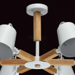 Потолочная люстра MW-Light Форест 693011106