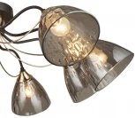 Потолочная люстра Wedo Light Livorno 66659.01.15.08