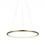 Подвесной светильник Loft IT Ring 10014M (LED, 220V, на тросе, кольцо)