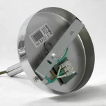 Потолочная люстра Lussole Lgo Idaho GRLSP-0199 (220V, листья, IP21)
