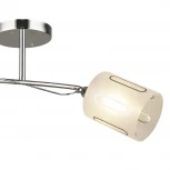 Потолочная люстра Wedo Light Ternate 66552.01.03.02