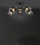 Потолочная люстра Wedo Light Aniko WD3637/5C-BK-FGD-BK