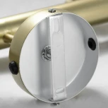 Потолочная люстра Lussole Loft Murray GRLSP-8169 (220V, IP21)