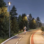 Уличный консольный светильник светодиодный ALT-MASAR-50W Warm3000 (BK, 150x30 deg, 230V) (Arlight, IP65 Металл) 057268