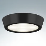 Потолочный светильник круглый Lightstar Urbano Mini 214772 (LED, 220V, IP65)