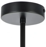 Потолочная люстра на штанге Lightstar Siena 720087 (220V)