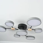 Потолочная люстра с пультом на штанге LED Lu Carte LC-11-1717