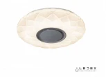 Потолочный светильник RGB круглый iLedex Sphere ZN-XU36XD-GSR-Y (220V, пульт управления, управление смартфоном, круглые)