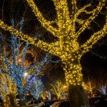 Гирлянда Eurosvet 400-102 белый с эффектом мерцания