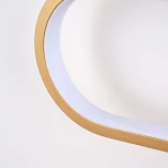 Натенно-потолочный светильник Favourite Planar 4075-2C (LED, 220V, пульт управления)