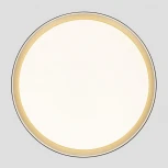 Потолочный светильник RGB круглый светодиодный с пультом Citilux Boss CL751451G (220V, круглые)