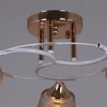 Потолочная люстра на штанге Reluce 06003-0.3-03 FG+WT