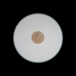 Потолочный светильник круглый Loft IT Axel 10003/24 Green (LED, 220V, круглые)