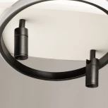 Потолочный светильник круглый со спотами De City Драйв 377015004 (регулировка яркости, LED, 220V, пульт управления)