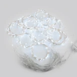 Гирлянда Eurosvet 200-004 белый