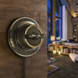 Переключатель / выключатель одноклавишный (бронзовый) Ретро Werkel W5712012 (a050766)