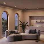 Потолочный светильник Maytoni Spark C094-GU10-MG