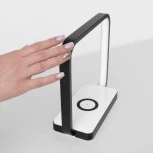 Интерьерная настольная лампа Eurosvet Frame 80502/1 черный