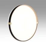 Настенно-потолочный светильник Sonex Olidi Black 7647/EL PALE SN пластик/черный/золотой LED 70Вт 3000-6000К D490 IP43 пульт ДУ (220V, круглые)