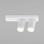 Спот светодиодный с подсветкой для чтения Flank 20139/2 LED белый (220V)