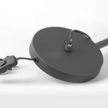 Настольная лампа Lussole Idaho LSP-0682 (220V, выключатель, листья)