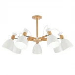 Потолочная люстра Evoluce Balcamo SLE103802-07 (220V)