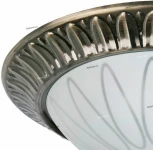 Потолочный светильник Toplight Paulina TL5050Y-02AB