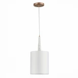 Подвесной светильник ST Luce Vellino SL1163.203.01