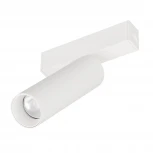 Трековый светильник магнитный MAG-SPOT-25-R120-12W Day4000 (WH, 30 deg, 24V) (Arlight, IP20 Металл) 050076 (LED)