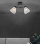 Потолочная люстра на штанге Seven Fires Dzhoun SF3382/2C-BK-CR-WT