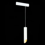 Трековый светильник однофазный 220V Skyline 220 ST508.503.01 ST Luce (круглые)