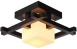 Потолочный светильник Arte Lamp Woods A8252PL-1CK (220V, куб)
