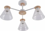 Потолочная люстра на штанге Rivoli Theothila 9177-303
