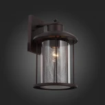 Настенный фонарь уличный ST Luce Lastero SL080.401.01 (220V, IP54)