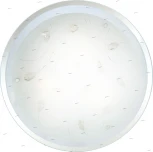 Потолочный светильник круглый Globo Brenda 40409 (220V)