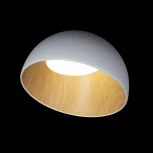 Потолочный светильник круглый Loft It Egg 10197/350 White (LED, 220V, круглые)