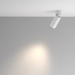 Потолочный спот Maytoni Artisan C082CL-01-GU10-W (220V, круглые)