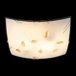 Настенно-потолочный светильник Globo Taveuni 40393-2 (220V)