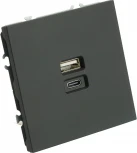 Розетка USB Type A+С (черный) Stekker Эмили 49853