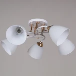 Потолочная люстра на штанге Reluce 06104-0.3-05 WH+FG