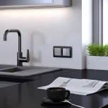 Рамка на 2 поста Acrylic (черный) Werkel W0022708 (a059317)