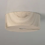 Потолочный светильник DeMarkt Иланг 712010601