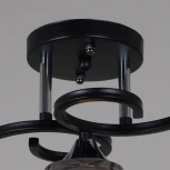 Потолочная люстра на штанге Reluce 06089-0.3-03 BK+CR (220V)