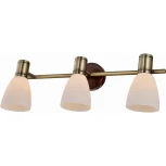 Спот Toplight Sharyl TL3720Y-03BB