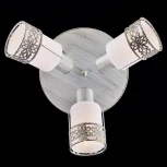 Спот Eurosvet 20025-20026 20026/3 белый с золотом (220V, круглые)