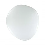 Настенно-потолочный светильник Sonex Stone 2039/DL