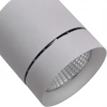 Трековый светильник Lightstar Canno 301592