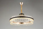 Подвесная люстра Aployt Honori APL.027.03.102 (LED, 220V, на цепи, кольцо)
