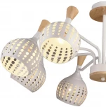 Потолочная люстра на штанге Wedo Light Флоринда 66167.01.09.08